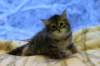img_3754_small.jpg