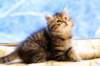 img_3766_small.jpg
