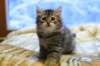img_3768_small.jpg