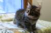 img_3777_small.jpg