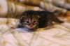 img_1687_small.jpg