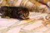 img_1711_small.jpg