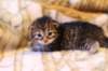 img_1721_small.jpg