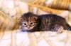 img_1724_small.jpg