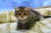 img_2949_small.jpg