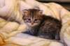 ruubenboy3weeks5122010_small.jpg
