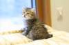 img_3361_small.jpg