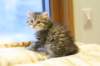 img_3363_small.jpg