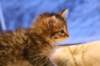 img_3972_small.jpg