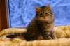 img_3976_small.jpg