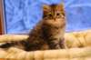 img_3978_small.jpg