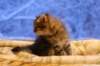 img_3979_small.jpg