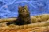 img_3980_small.jpg