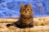 img_3982_small.jpg
