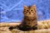 img_3983_small.jpg