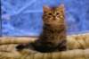 img_3984_small.jpg