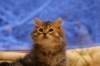 img_3986_small.jpg