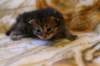 img_1829_small.jpg