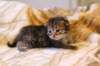 img_1833_small.jpg
