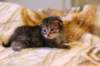 img_1834_small.jpg