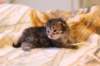 img_1839_small.jpg