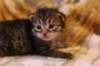 img_1846_small.jpg