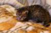 img_1999_small.jpg