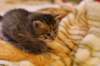 img_2010_small.jpg