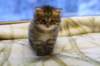 img_2701_small.jpg