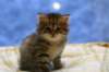 img_3444_small.jpg