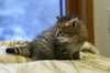 img_3448_small.jpg