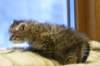 img_3451_small.jpg