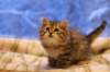 img_3912_small.jpg