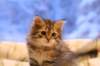img_3914_small.jpg