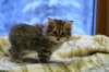 img_3918_small.jpg