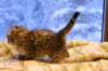 img_3919_small.jpg