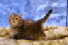 img_3920_small.jpg
