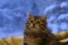 img_3924_small.jpg