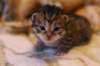 img_1602_small.jpg
