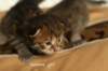salomegirlimg_7027_small.jpg