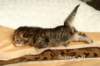 salomegirlimg_7046_small.jpg