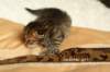 salomegirlimg_7047_small.jpg