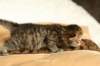 salomegirlimg_7048_small.jpg