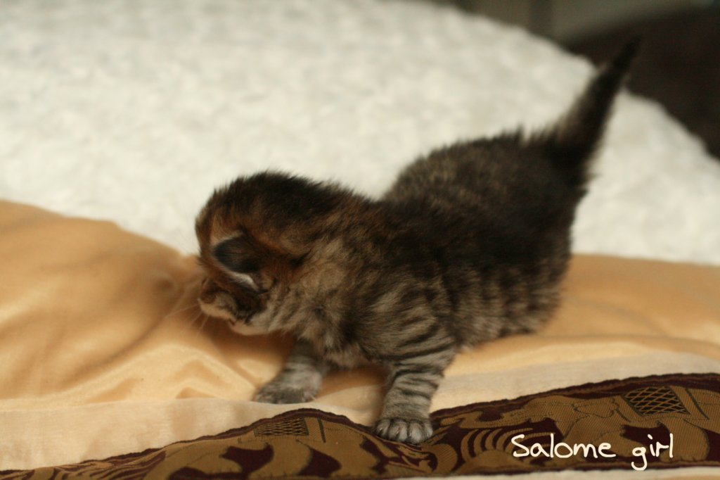 salomegirlimg_7055.jpg