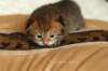 salomoboyimg_6970_small.jpg