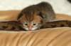 salomoboyimg_6972_small.jpg