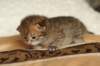 salomoboyimg_6983_small.jpg