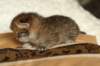 salomoboyimg_6984_small.jpg