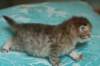 salomoboyimg_7367_small.jpg