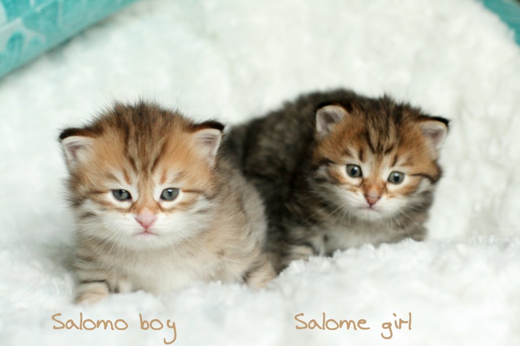 salomoboysalomegirlimg_7458.jpg